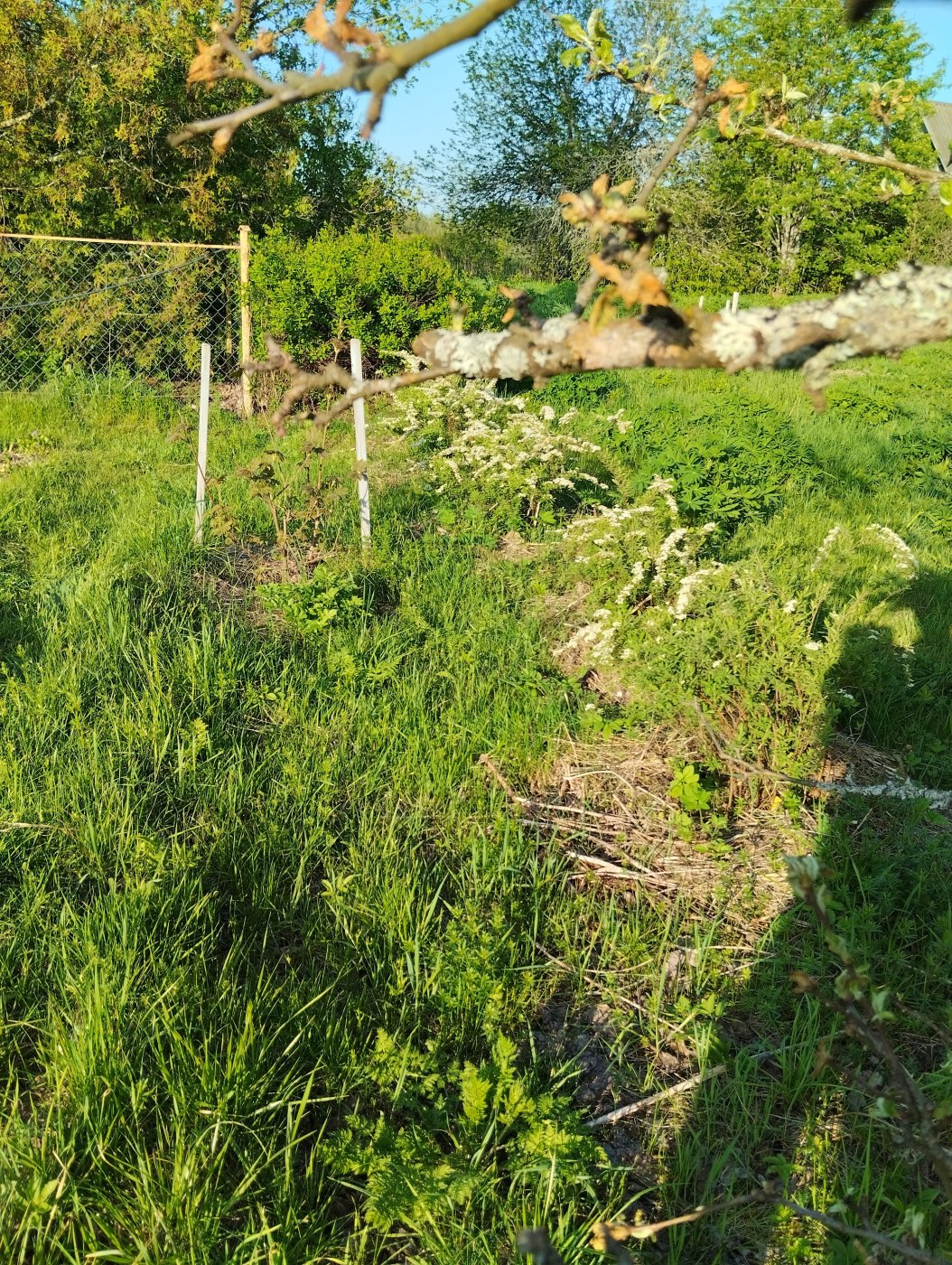 05425d653d508036e34d6506560aced1.jpeg