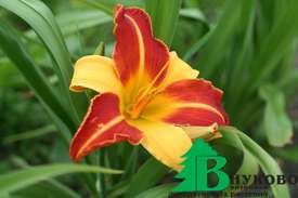 29db085d213a6caa5445be85392992fe.jpeg