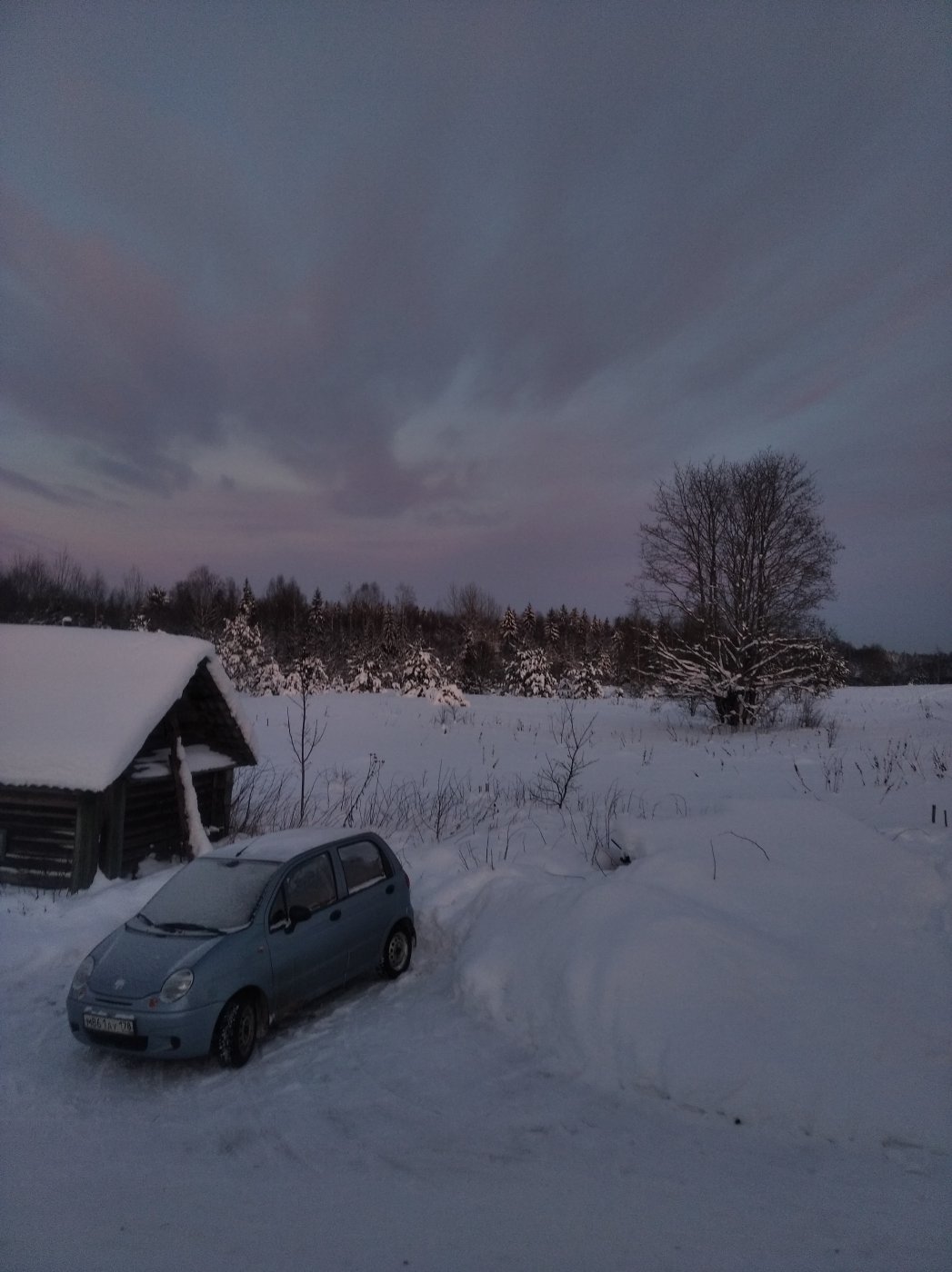 Picture of my garden