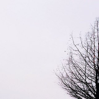 64f088d672ea7b0621a8185010e9304c.jpeg