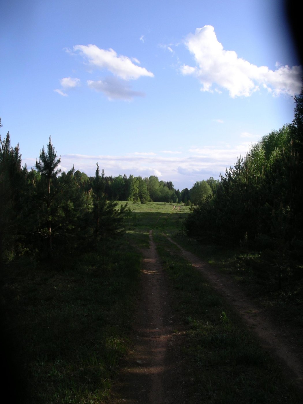 9d11584047c577c1996f5c634de4a76c.jpeg