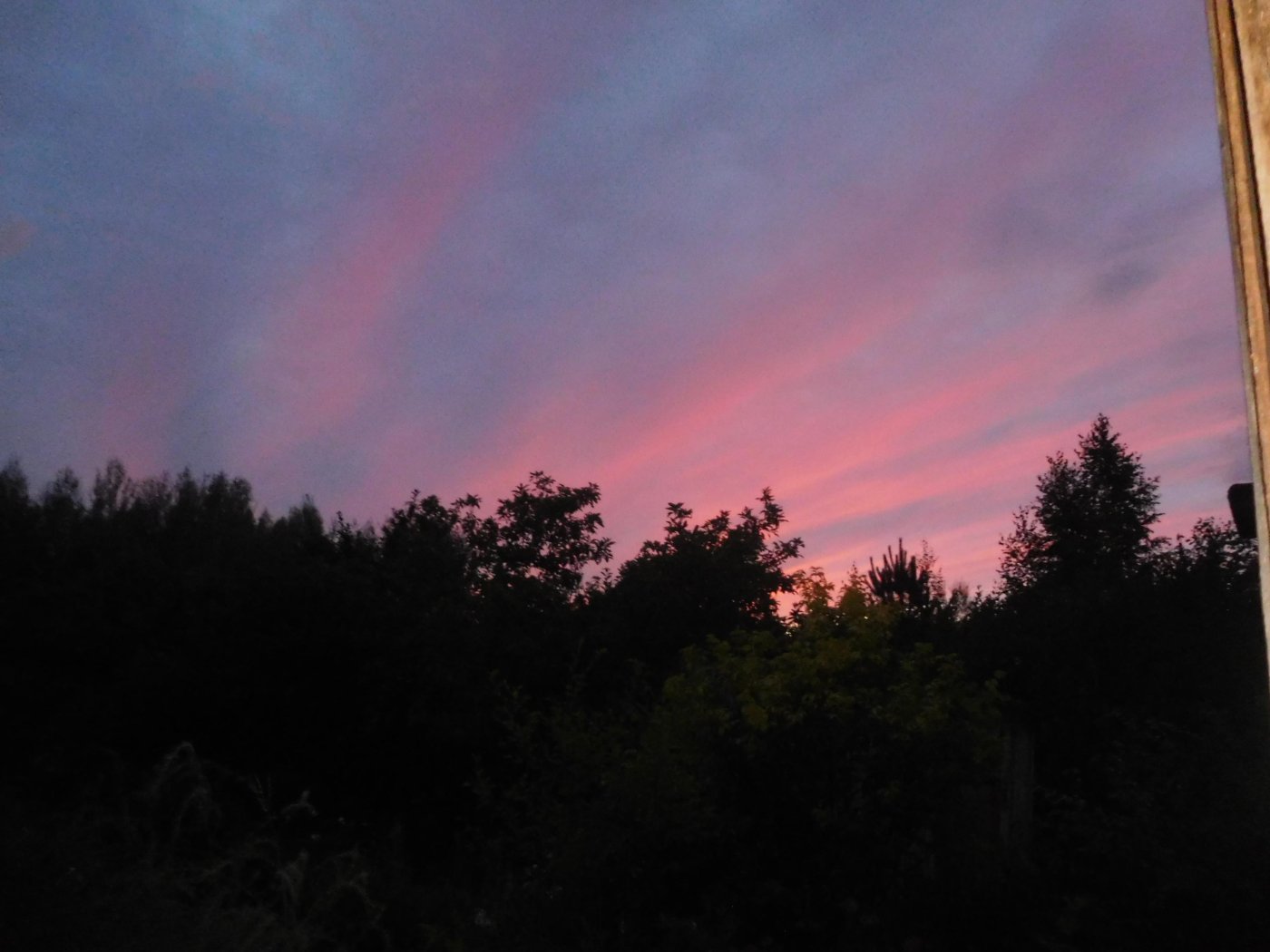a793f0725fd72239f0808f75e99d236d.jpeg