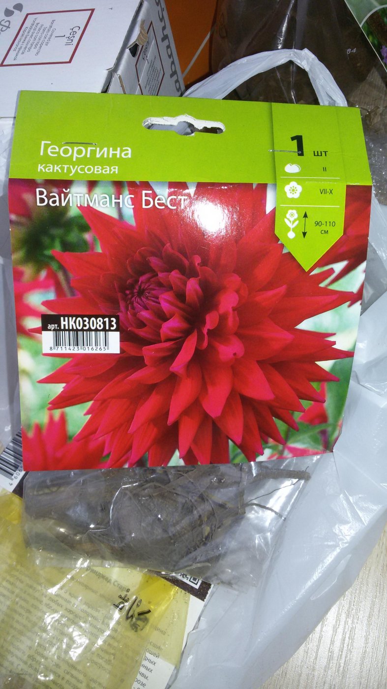 b4ff90f3cfca3fbf88d500d3adb4ed3a.jpeg