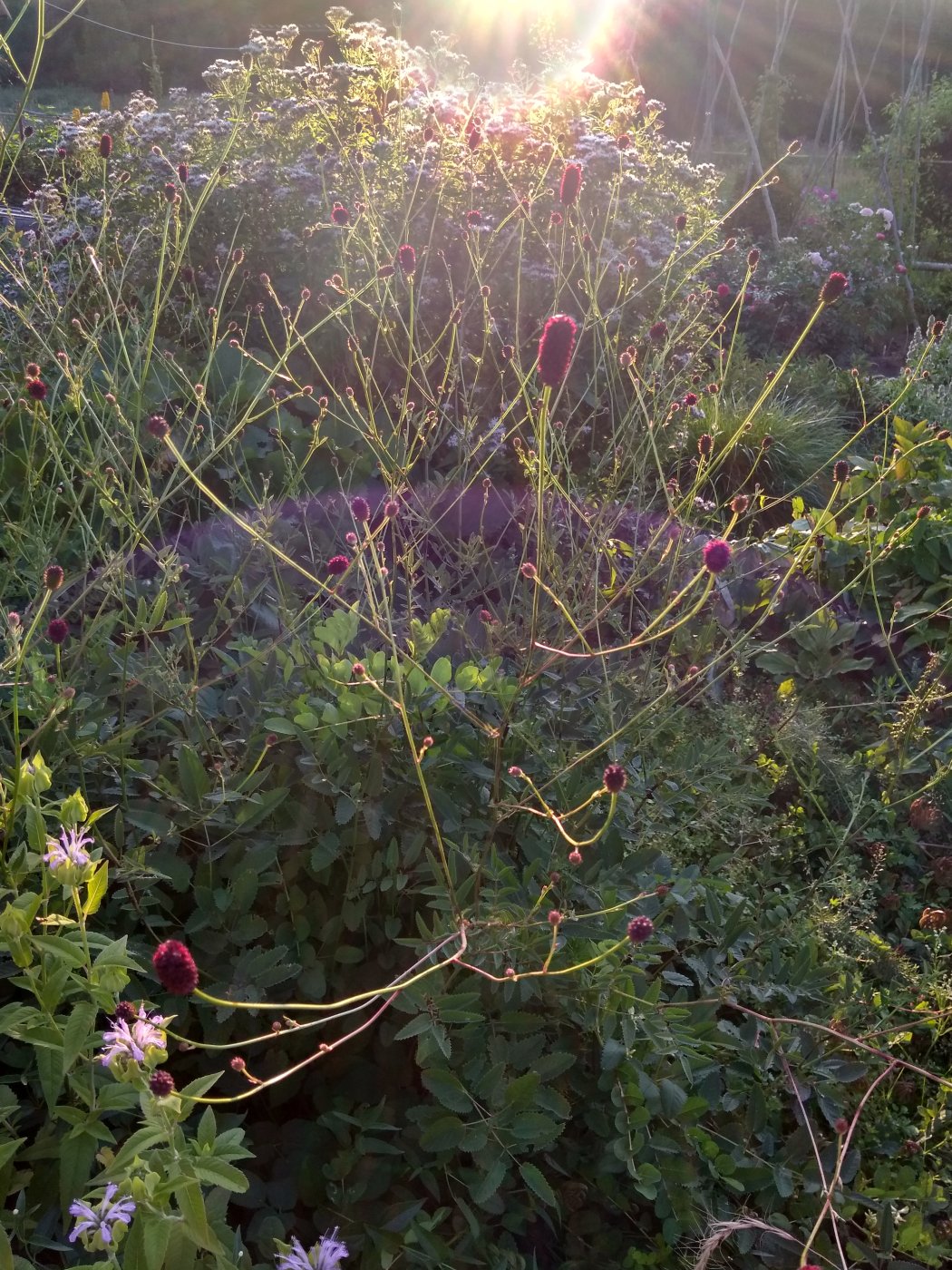 bd26882b9d535a92c6079b5a3728e697.jpeg