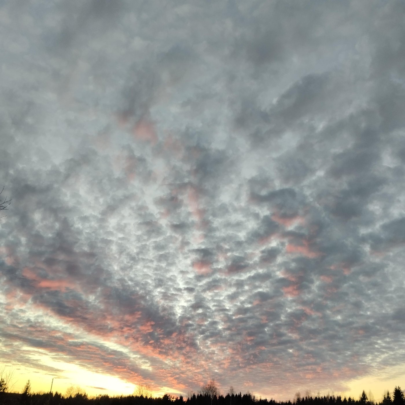 cc01474e940c56d7d54071c459f1f1e8.jpeg