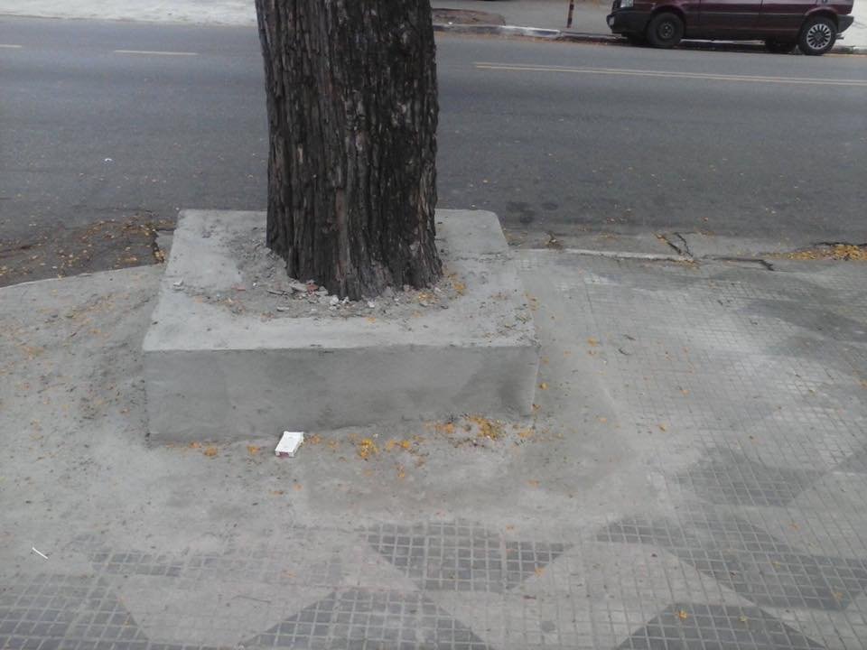 d2cb33227a1ea7f9939aceb830bfc0b0.jpeg