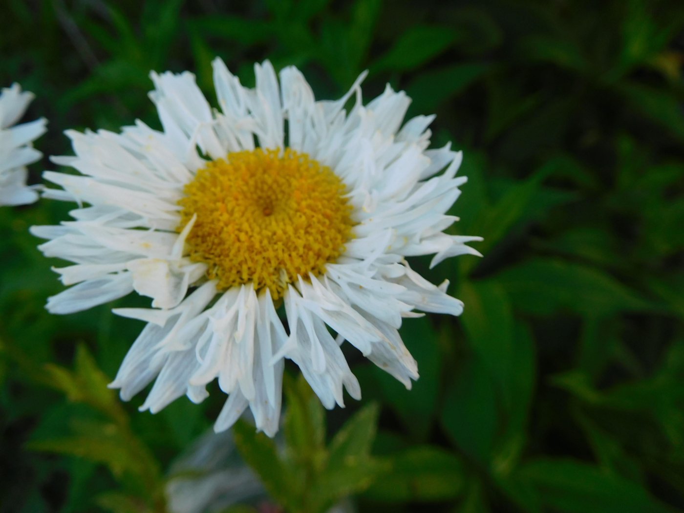 dc088102df47c4d9b213dce765a33ac1.jpeg